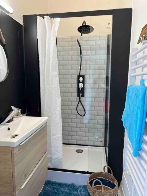 Apartament *Le Blue Rock* T2 Centre Historique De Bergerac Zewnętrze zdjęcie
